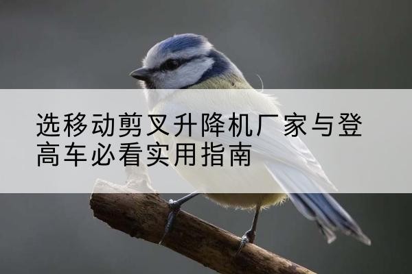 陇县电动升降机厂家-选移动剪叉升降机厂家与登高车必看实用指南