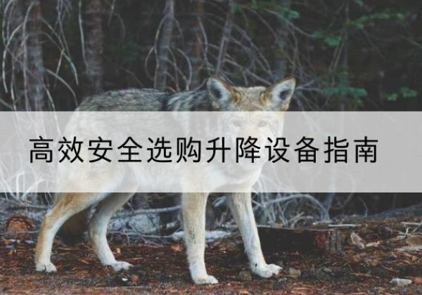 陇县升降货梯厂家推荐-*安全选购升降设备指南